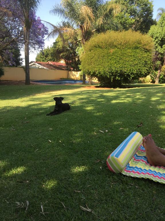 Khuvena Guesthouse Randburg Екстериор снимка